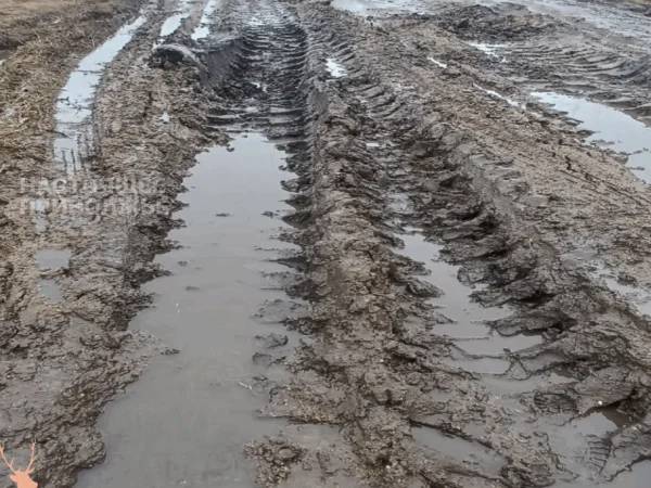 Башкирские ямы довели до Бастрыкина