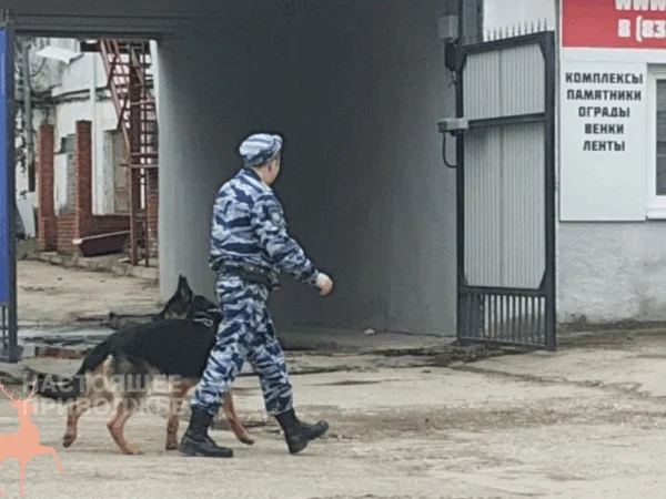 В&nbsp;Ибресях с&nbsp;поезда скрылись шесть бывших зэков, ставших контрактниками
