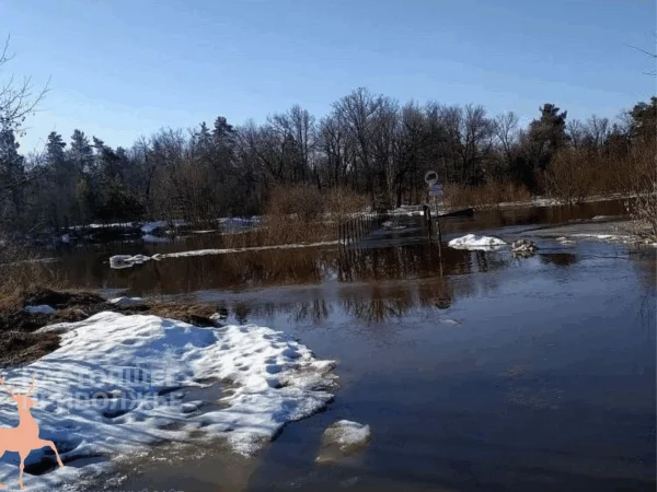 Паводок в Нижегородской области