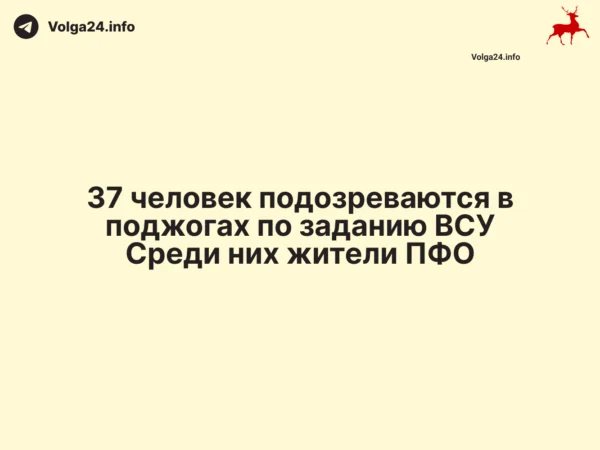 Черновик