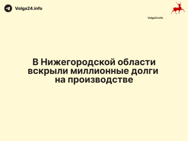 В&nbsp;Нижегородской области вскрыли миллионные долги на&nbsp;производстве