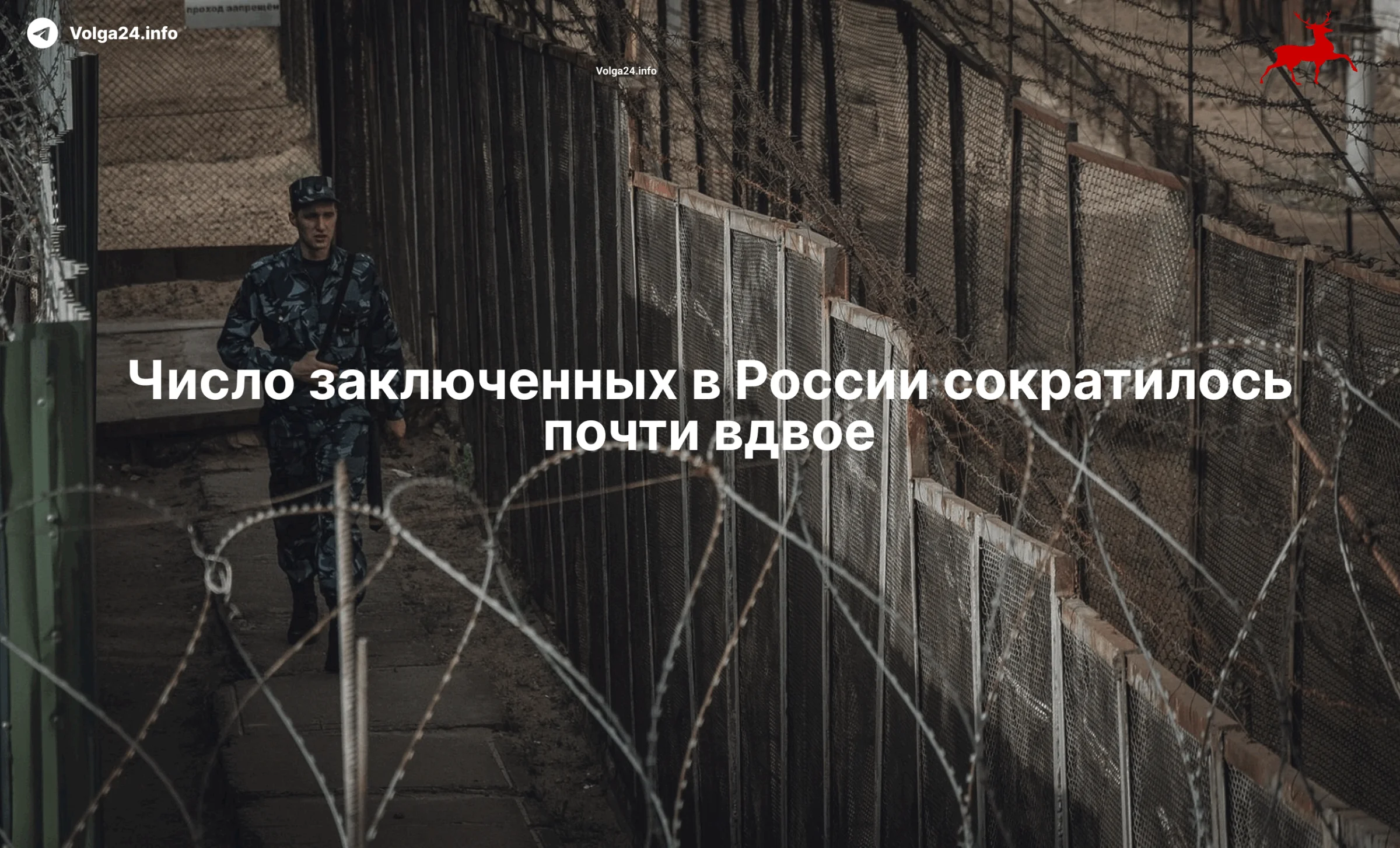 Черновик