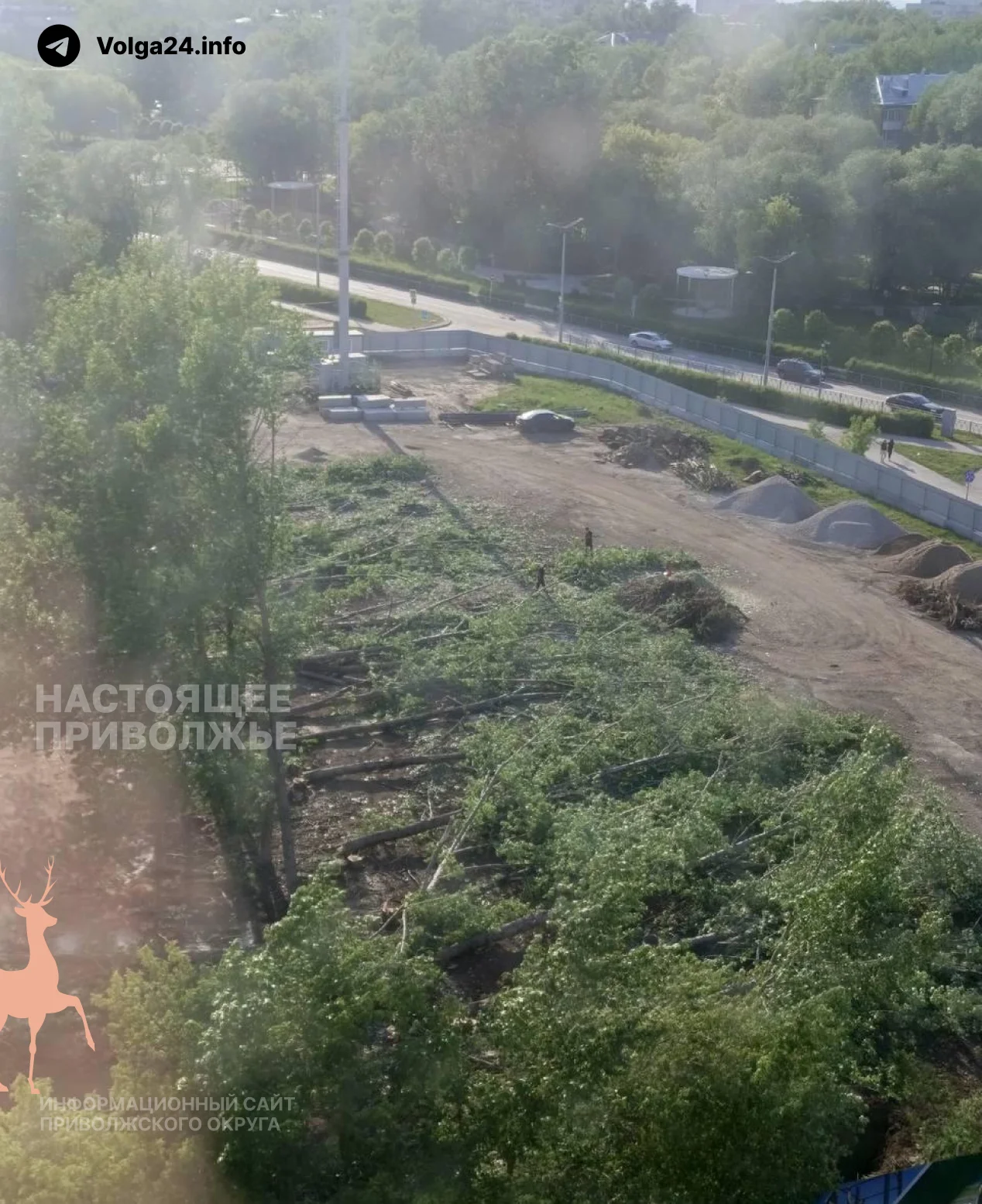 Черновик