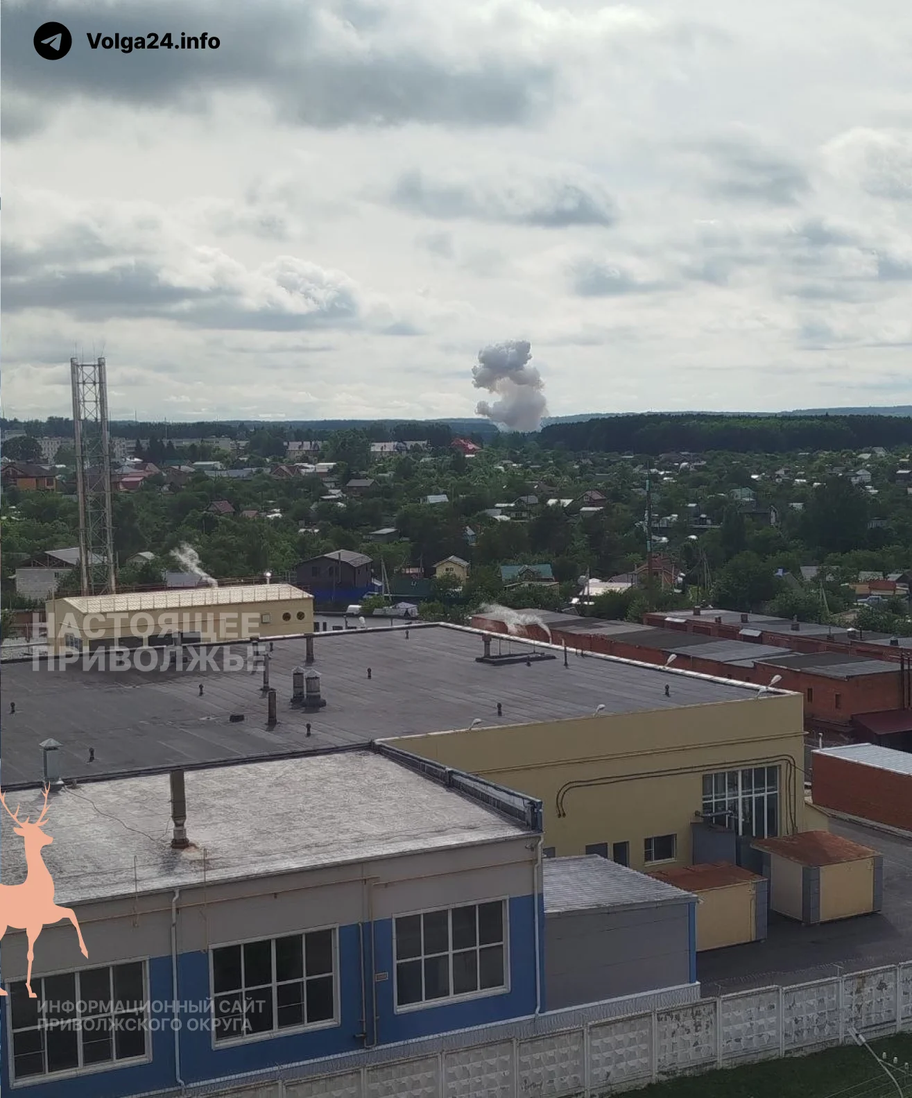 Черновик