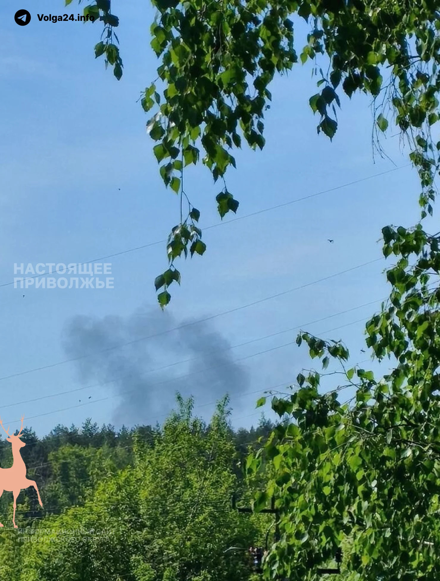 Черновик