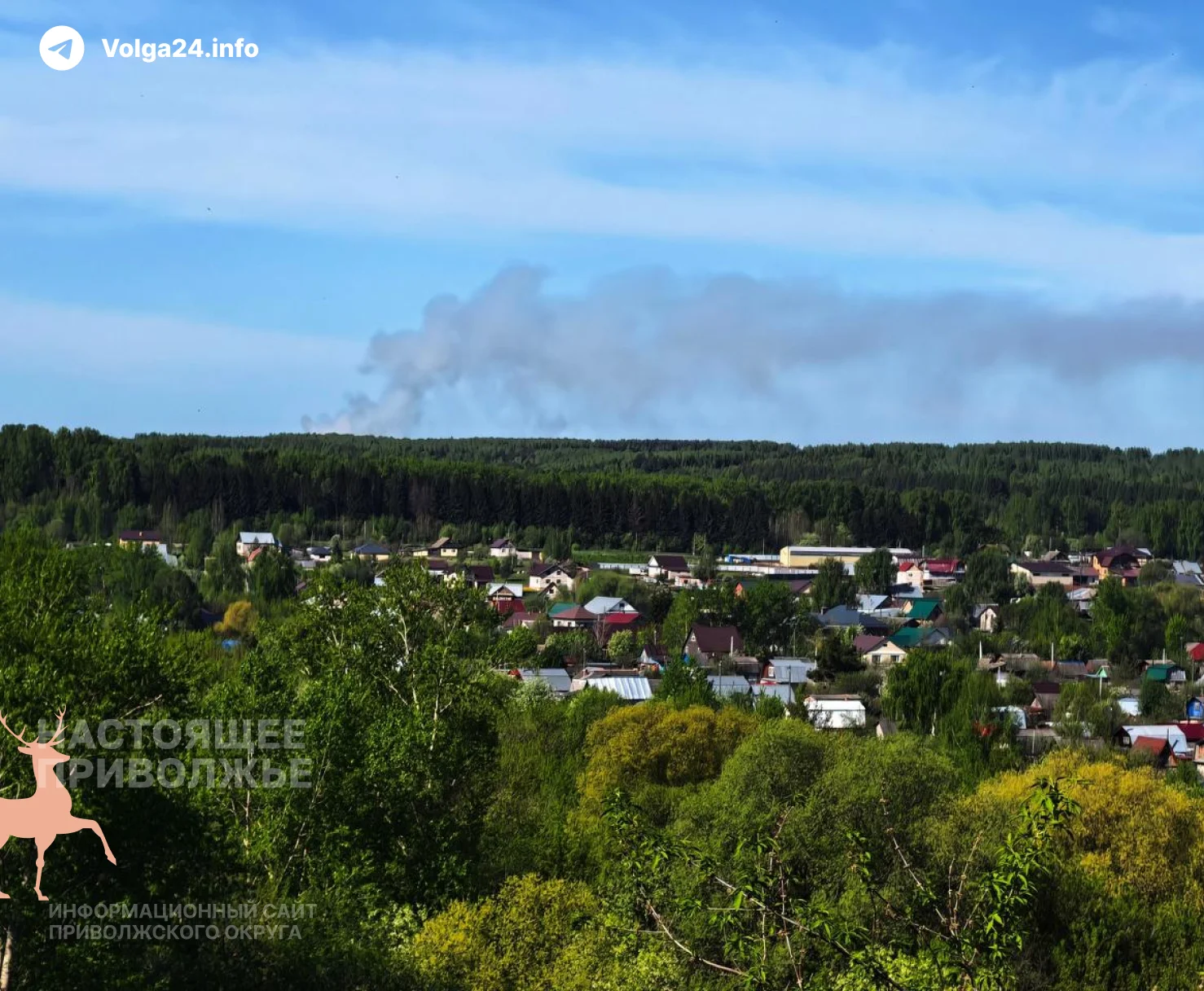 Черновик