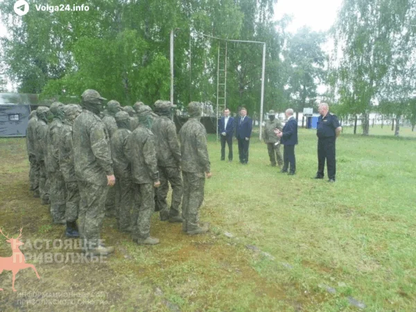 Черновик