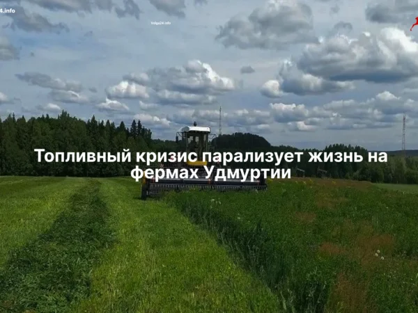 Черновик