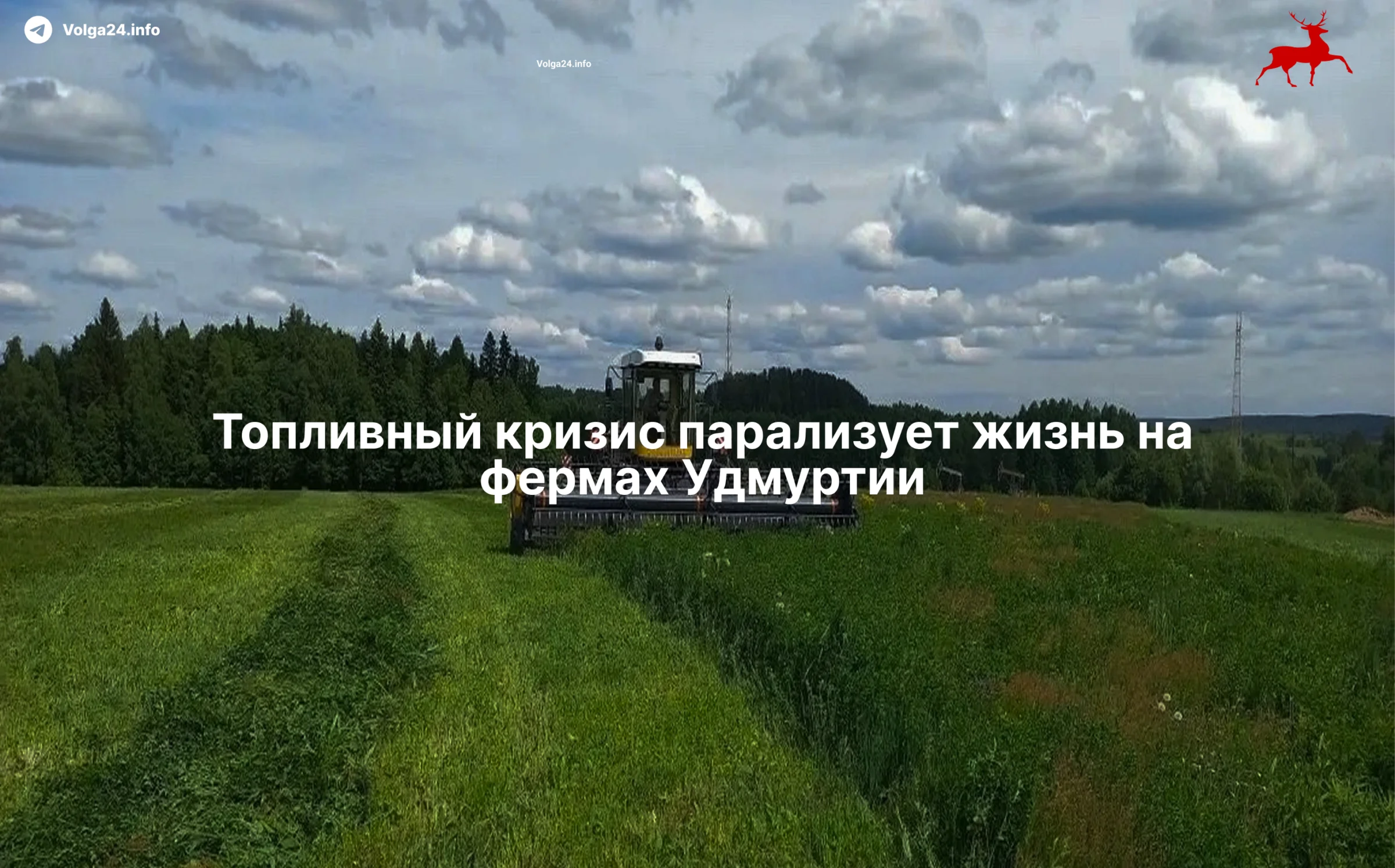 Черновик