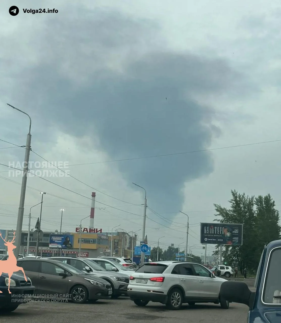 Черновик