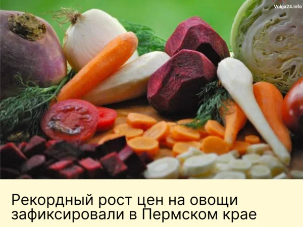Черновик