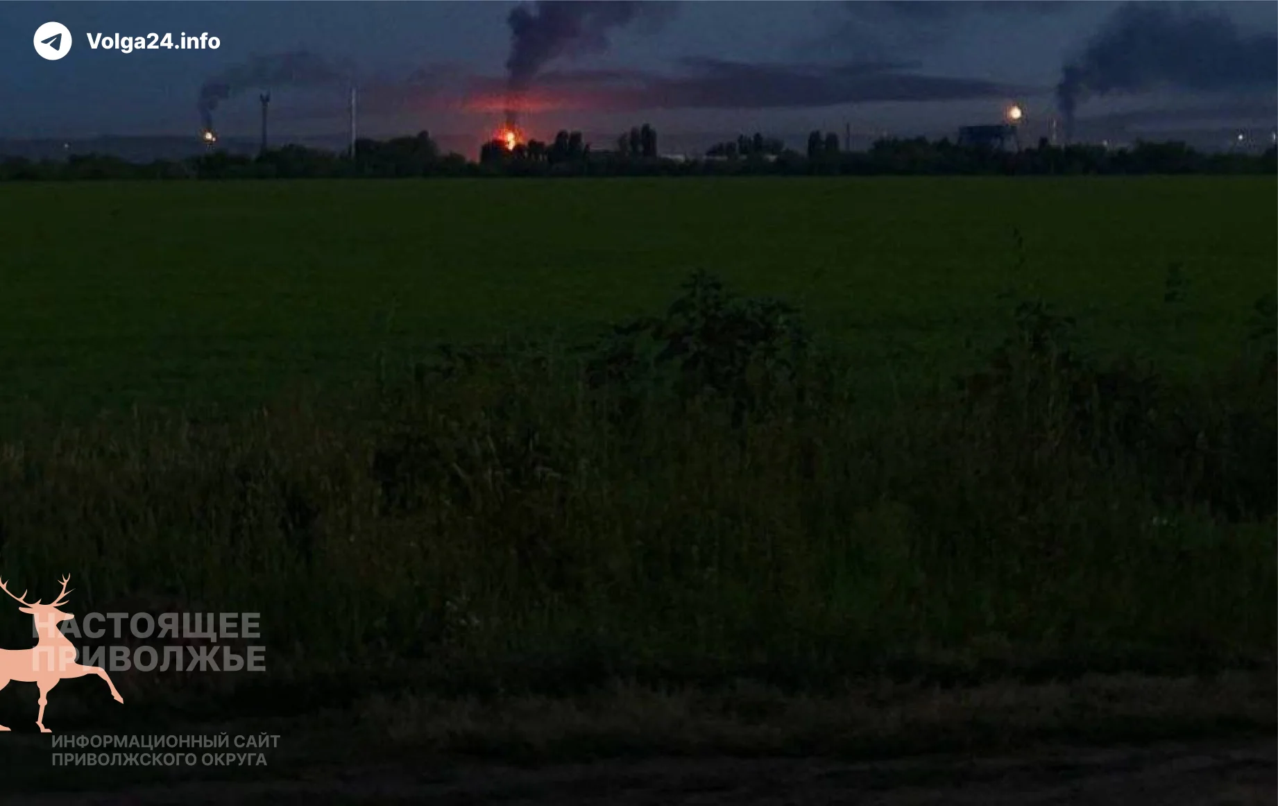 Черновик